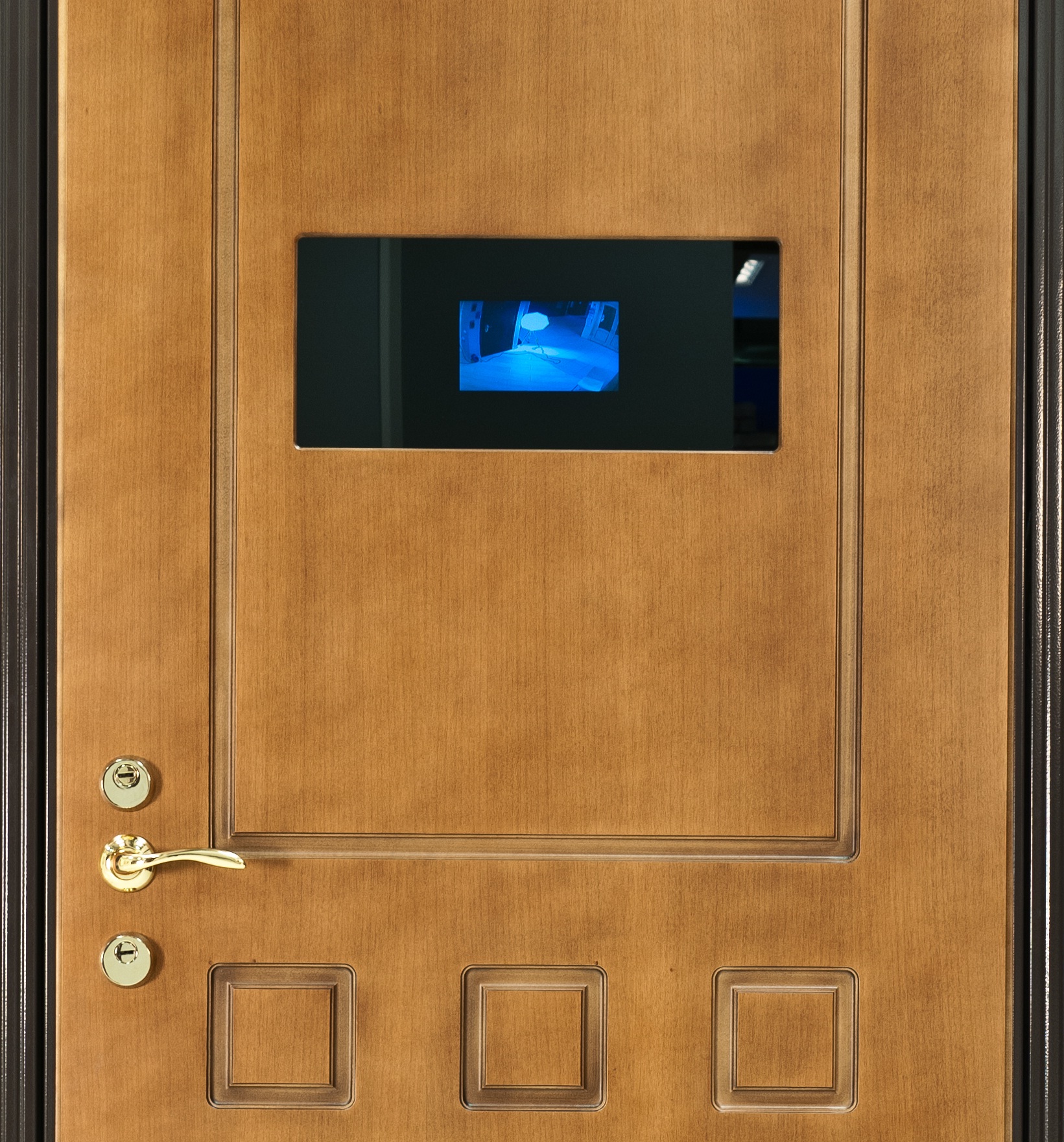Стальные двери: видеонаблюдение в стальных дверях